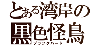 とある湾岸の黒色怪鳥（ブラックバード）