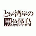 とある湾岸の黒色怪鳥（ブラックバード）