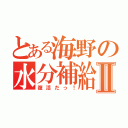 とある海野の水分補給Ⅱ（復活だっ！）