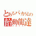 とあるバカ兄の飴動龍達（パズドラ）