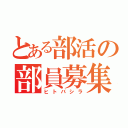 とある部活の部員募集（ヒトバシラ）