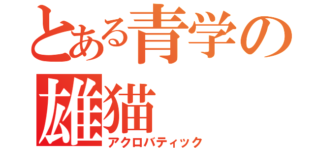 とある青学の雄猫（アクロバティック）