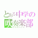 とある中学の吹奏楽部員（ブラスバンド）