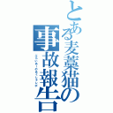 とある麦藁猫の事故報告書（ぶらいあーのあくしゅレポ）