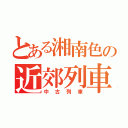 とある湘南色の近郊列車（中古列車）