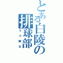 とある白陵の排球部（５５期生）