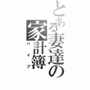 とある妻達の家計簿（バイブ）