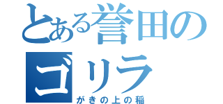 とある誉田のゴリラ（がきの上の稲）