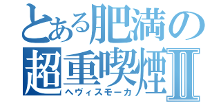 とある肥満の超重喫煙Ⅱ（ヘヴィスモーカ）