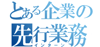 とある企業の先行業務（インターン）