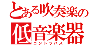 とある吹奏楽の低音楽器（コントラバス）