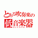 とある吹奏楽の低音楽器（コントラバス）