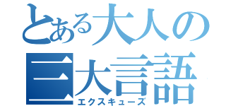 とある大人の三大言語（エクスキューズ）