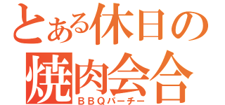 とある休日の焼肉会合（ＢＢＱパーチー）