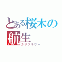 とある桜木の航生（カリフラワー）