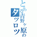 とある青野ヶ原のタツロット（）