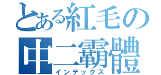 とある紅毛の中二霸體（インデックス）