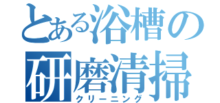 とある浴槽の研磨清掃（クリーニング）