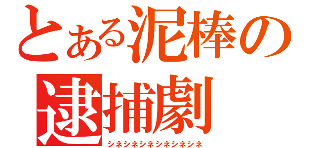 とある泥棒の逮捕劇（シネシネシネシネシネシネ）