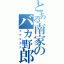 とある南家のバカ野郎（ミナミカナ）