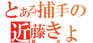 とある捕手の近藤きょうた（弱点）