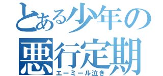 とある少年の悪行定期（エーミール泣き）