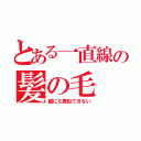 とある一直線の髪の毛（誰にも真似できない）