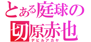 とある庭球の切原赤也（デビルアカヤ）