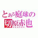 とある庭球の切原赤也（デビルアカヤ）