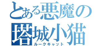 とある悪魔の塔城小猫（ルークキャット）