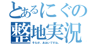 とあるにぐの整地実況（そらが、あおいですね。）