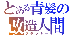 とある青髪の改造人間（フランキー）