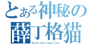 とある神秘の薛丁格猫（ＳｃｈｒｏｄｉｎｇｅｒＣａｔ）