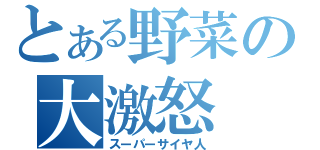 とある野菜の大激怒（スーパーサイヤ人）