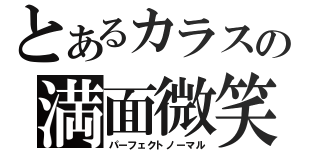 とあるカラスの満面微笑（パーフェクトノーマル）