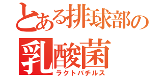 とある排球部の乳酸菌（ラクトバチルス）