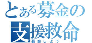 とある募金の支援救命（募金しよう）