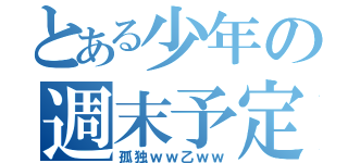 とある少年の週末予定（孤独ｗｗ乙ｗｗ）