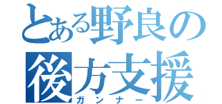 とある野良の後方支援（ガンナー）