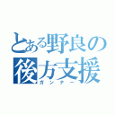 とある野良の後方支援（ガンナー）