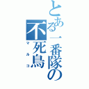 とある一番隊の不死鳥（マルコ）