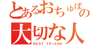 とあるおちゅぱんだの大切な人（ＢＥＳＴ ＦＲＩＥＮＤ）