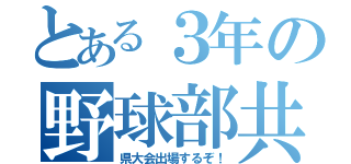 とある３年の野球部共（県大会出場するぞ！）