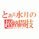 とある水月の超格闘技（ストライカー）