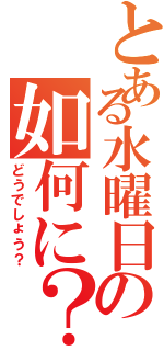 とある水曜日の如何に？（どうでしょう？）