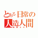 とある日常の人造人間（東雲なの）