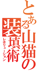 とある山猫の装填術（レボリューション）