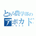 とある農学部のアボカド研究者（トモタカ）