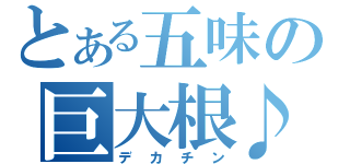 とある五味の巨大根♪（デカチン）