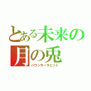 とある未来の月の兎（バウンサーラビット）